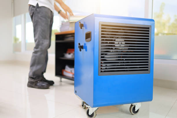Best Airborne Mold Testing  in Lincoln Village, CA