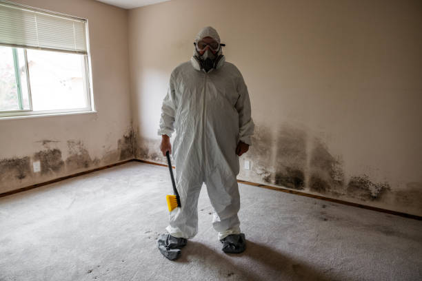Best Post-Remediation Verification Testing  in Lincoln Village, CA